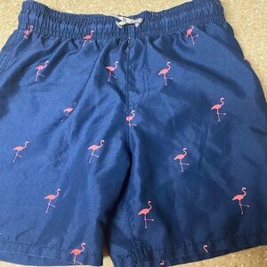 Abercrombie & Fitch Blue Pink Flamingo Swim Trunks